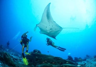 The Dive Destination